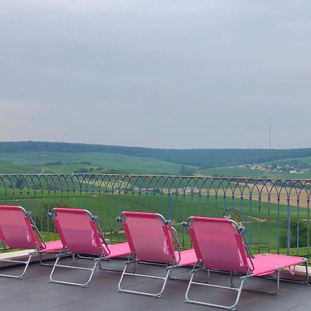 Floressens En Champagne Terrasse Privative Sur Le Vignoble Fleury-la-Riviere Exterior foto