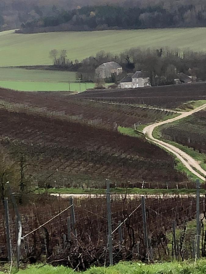 Floressens En Champagne Terrasse Privative Sur Le Vignoble Fleury-la-Riviere Exterior foto