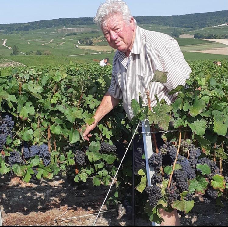 Floressens En Champagne Terrasse Privative Sur Le Vignoble Fleury-la-Riviere Exterior foto