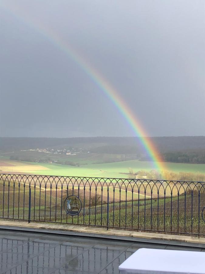 Floressens En Champagne Terrasse Privative Sur Le Vignoble Fleury-la-Riviere Exterior foto