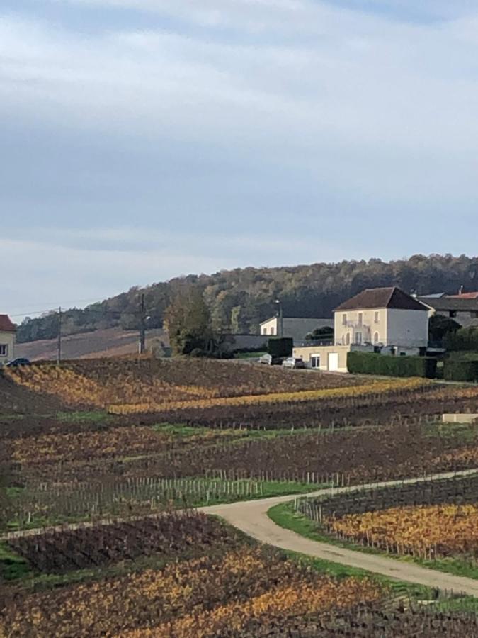 Floressens En Champagne Terrasse Privative Sur Le Vignoble Fleury-la-Riviere Exterior foto