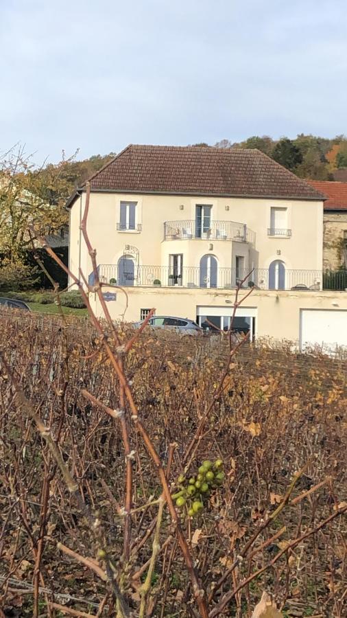 Floressens En Champagne Terrasse Privative Sur Le Vignoble Fleury-la-Riviere Exterior foto