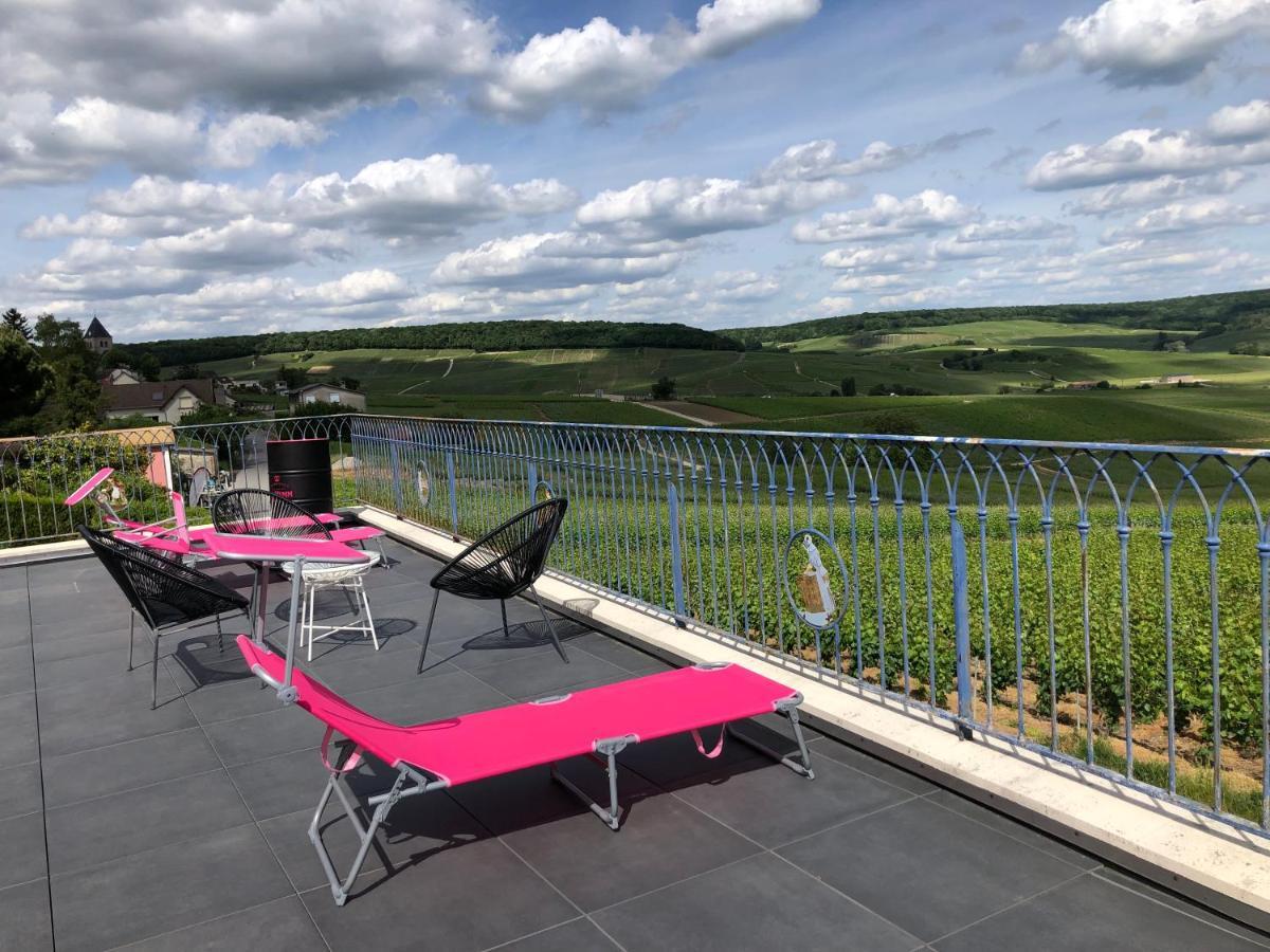 Floressens En Champagne Terrasse Privative Sur Le Vignoble Fleury-la-Riviere Exterior foto