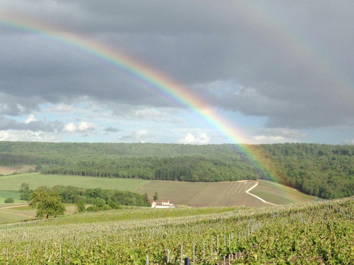 Floressens En Champagne Terrasse Privative Sur Le Vignoble Fleury-la-Riviere Exterior foto