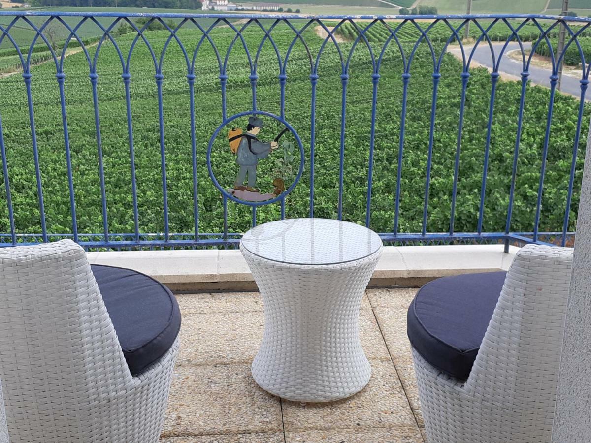 Floressens En Champagne Terrasse Privative Sur Le Vignoble Fleury-la-Riviere Exterior foto